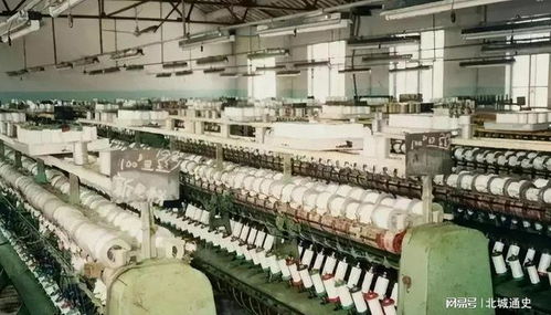 新晉中國(guó)女首富的財(cái)富密碼 剖析“年?duì)I收7800億，超華為成最大民企”背后的電信業(yè)務(wù)版圖